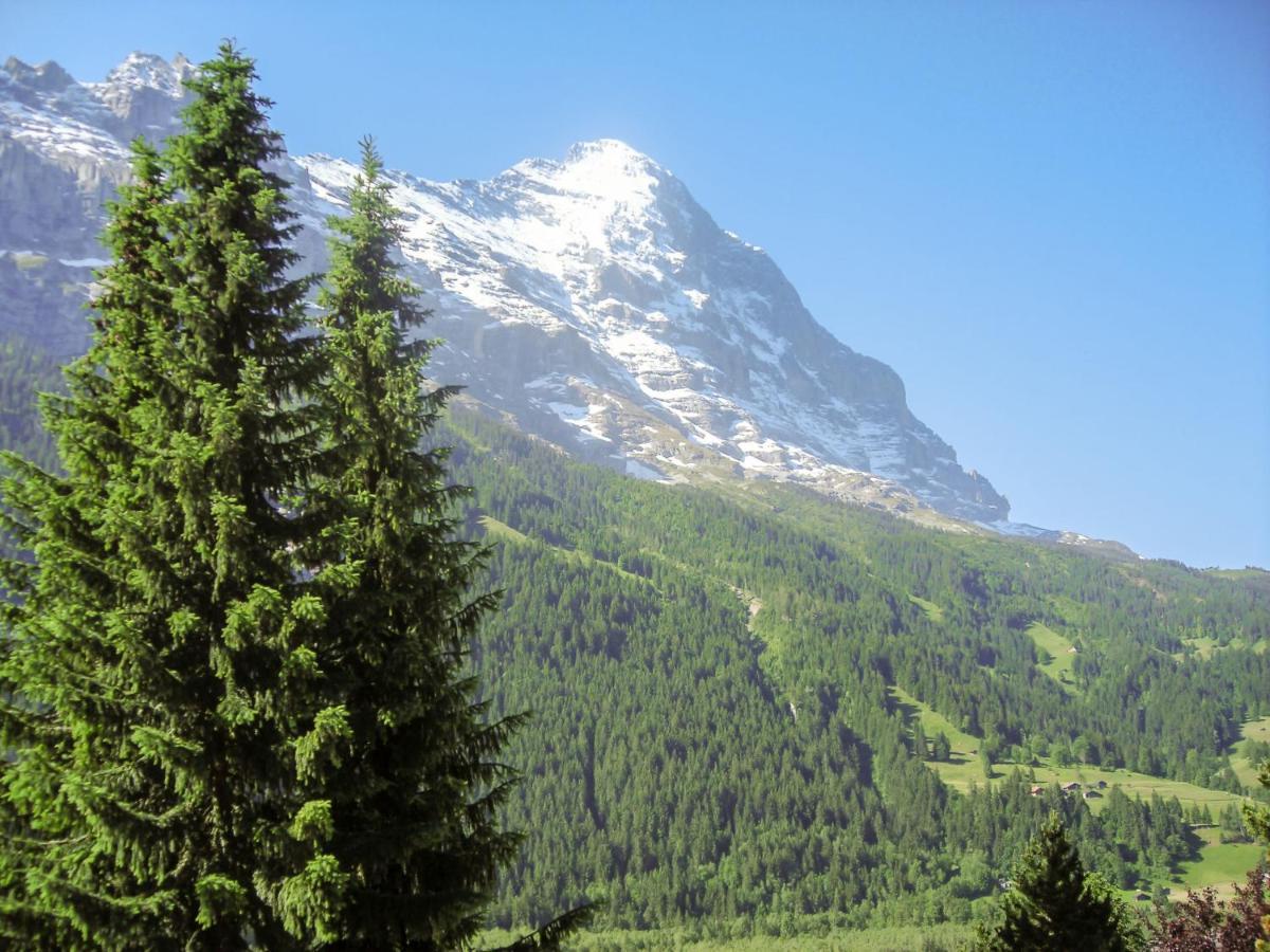Apartment Chalet Casa Almis 5 Grindelwald Extérieur photo