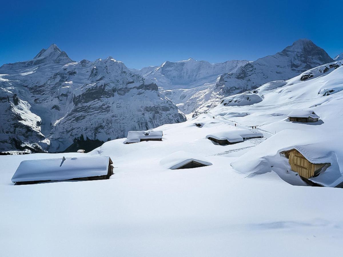 Apartment Chalet Casa Almis 5 Grindelwald Extérieur photo