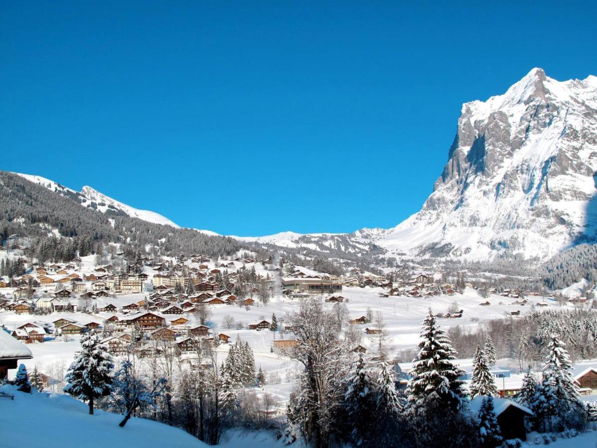 Apartment Chalet Casa Almis 5 Grindelwald Extérieur photo